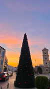 lital.oss Altpins Profile Picture