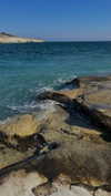 lital.oss Altpins Profile Picture
