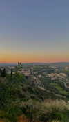 lital.oss Altpins Profile Picture