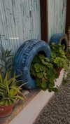 lital.oss Altpins Profile Picture