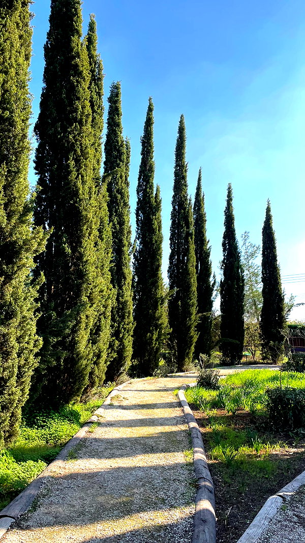lital.oss lital.oss archive image