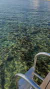 lital.oss Altpins Profile Picture
