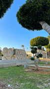 lital.oss Altpins Profile Picture