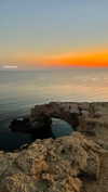 lital.oss Altpins Profile Picture