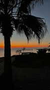 lital.oss Altpins Profile Picture