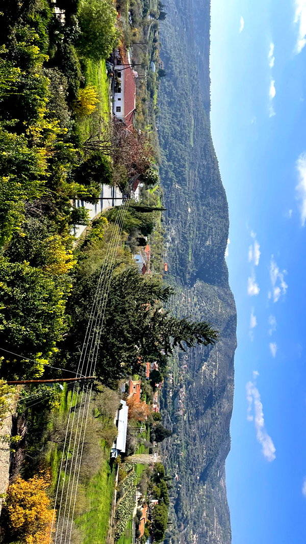 lital.oss lital.oss archive image