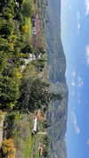 lital.oss Altpins Profile Picture
