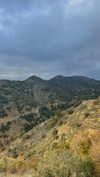 lital.oss Altpins Profile Picture