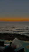 lital.oss Altpins Profile Picture