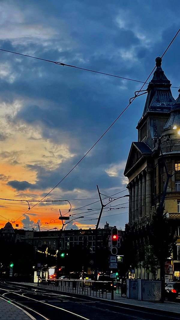 lital.oss instagram image archive image