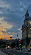 lital.oss Altpins Profile Picture