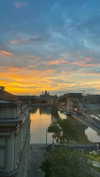 lital.oss Altpins Profile Picture