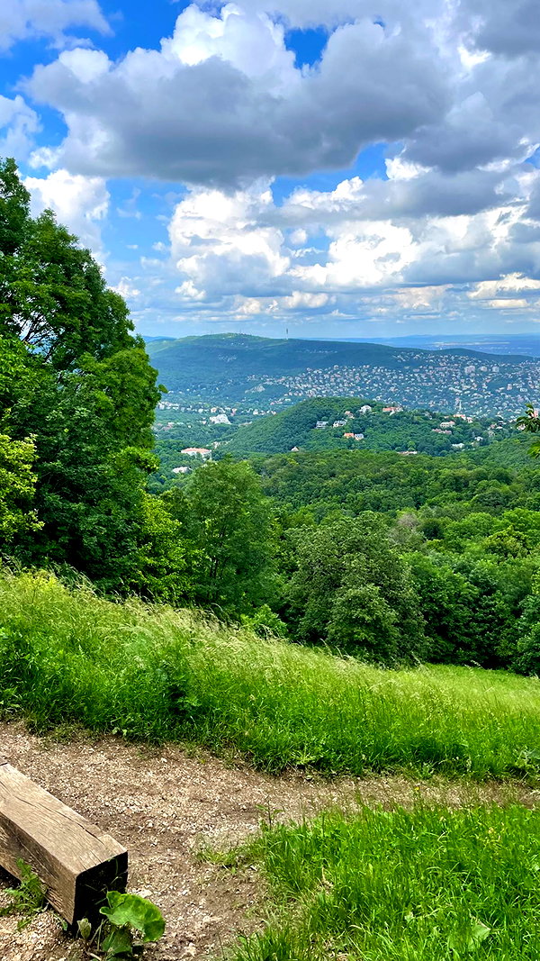 lital.oss lital.oss archive image