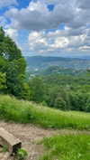 lital.oss Altpins Profile Picture