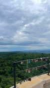 lital.oss Altpins Profile Picture