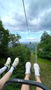 lital.oss Altpins Profile Picture