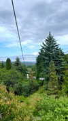 lital.oss Altpins Profile Picture