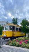 lital.oss Altpins Profile Picture