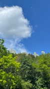 lital.oss Altpins Profile Picture