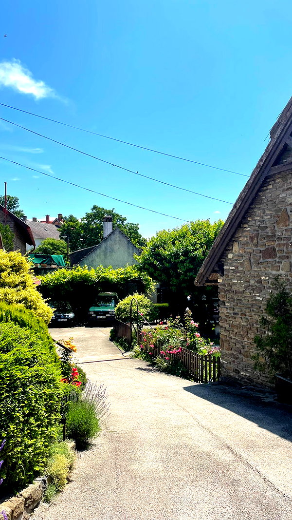 lital.oss instagram image archive image