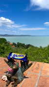 lital.oss Altpins Profile Picture