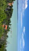 lital.oss Altpins Profile Picture