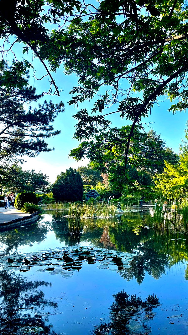lital.oss instagram image archive image