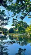 lital.oss Altpins Profile Picture