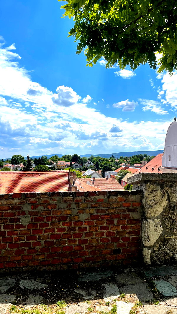 lital.oss instagram image archive image