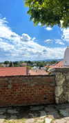 lital.oss Altpins Profile Picture