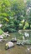lital.oss Altpins Profile Picture