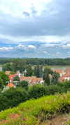 lital.oss Altpins Profile Picture