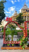 lital.oss Altpins Profile Picture