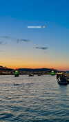 lital.oss Altpins Profile Picture