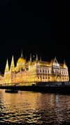 lital.oss Altpins Profile Picture