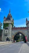 lital.oss Altpins Profile Picture