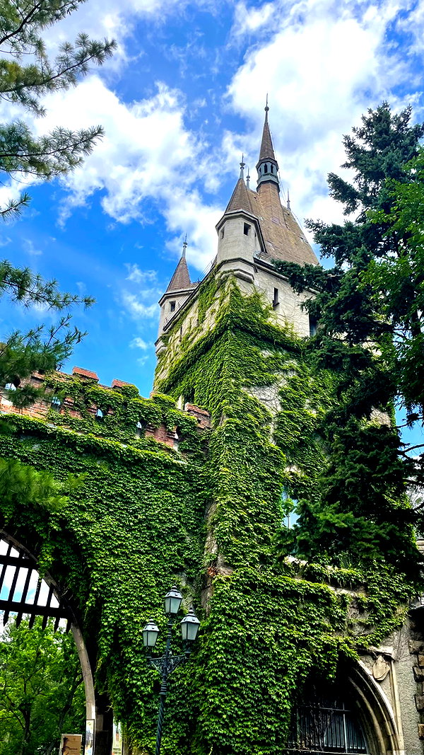 lital.oss instagram image archive image