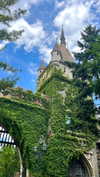 lital.oss Altpins Profile Picture