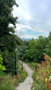 lital.oss Altpins Profile Picture