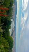 lital.oss Altpins Profile Picture