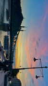 lital.oss Altpins Profile Picture