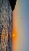 lital.oss Altpins Profile Picture