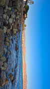 lital.oss Altpins Profile Picture