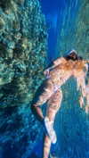 lital.oss Altpins Profile Picture