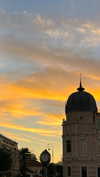 lital.oss Altpins Profile Picture