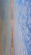 lital.oss Altpins Profile Picture