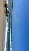 lital.oss Altpins Profile Picture