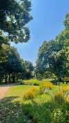lital.oss Altpins Profile Picture