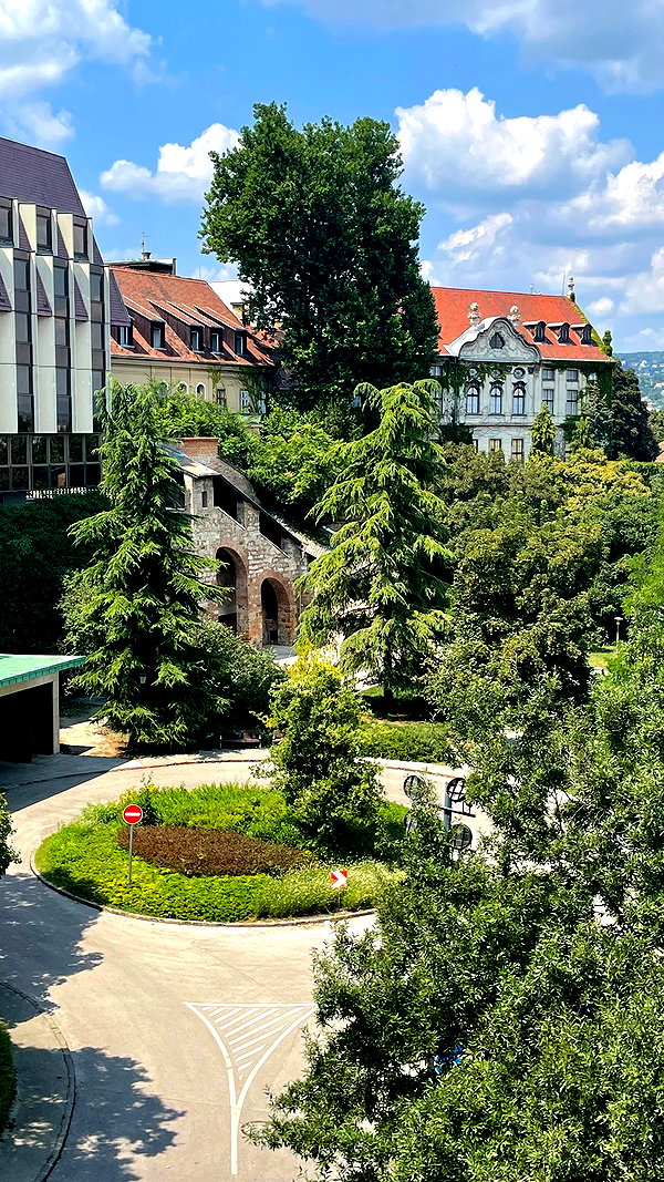 lital.oss lital.oss archive image