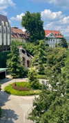 lital.oss Altpins Profile Picture